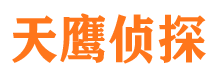 渭城市私家侦探